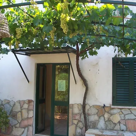 Arcobaleno Nocleg ze śniadaniem