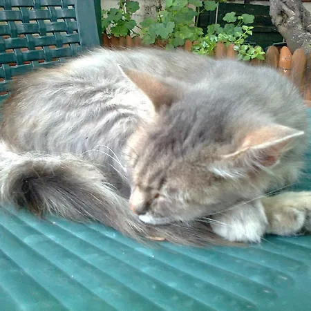 Arcobaleno Nocleg ze śniadaniem Cefalù