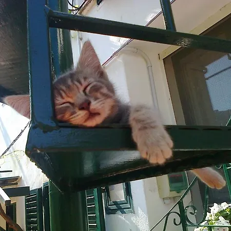 Nocleg ze śniadaniem Arcobaleno 3*