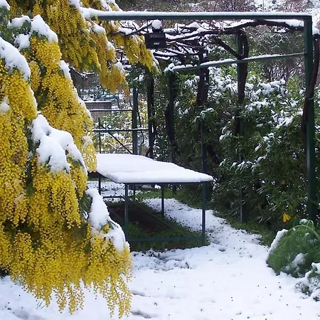 Arcobaleno Nocleg ze śniadaniem 3*