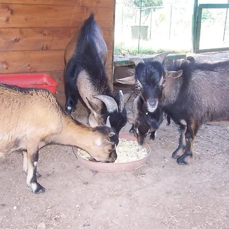 Arcobaleno Nocleg ze śniadaniem Cefalù