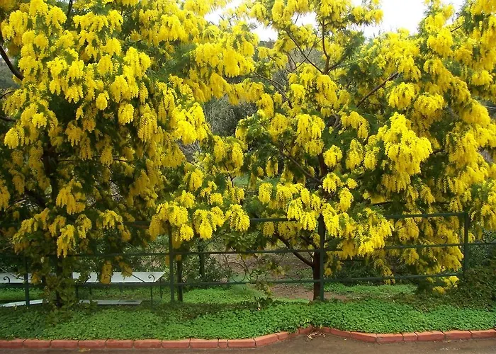 Arcobaleno Готель типу 