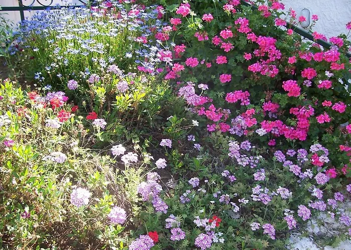 Arcobaleno Готель типу 