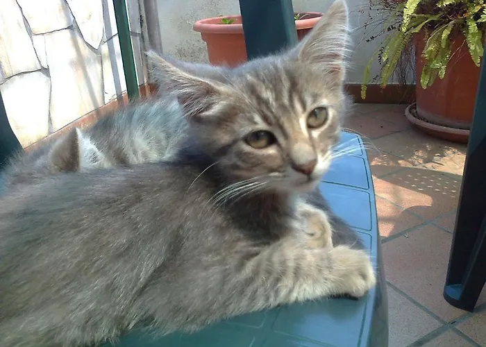 Arcobaleno 3* Чефалу