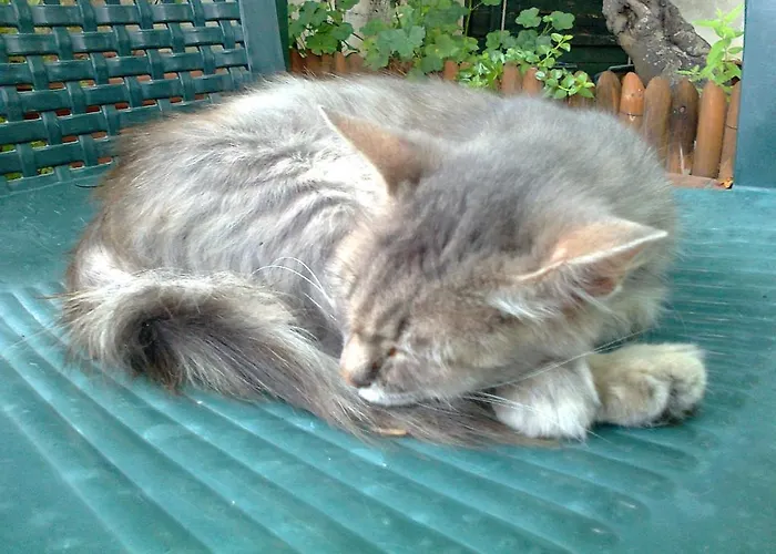 Arcobaleno Готель типу 