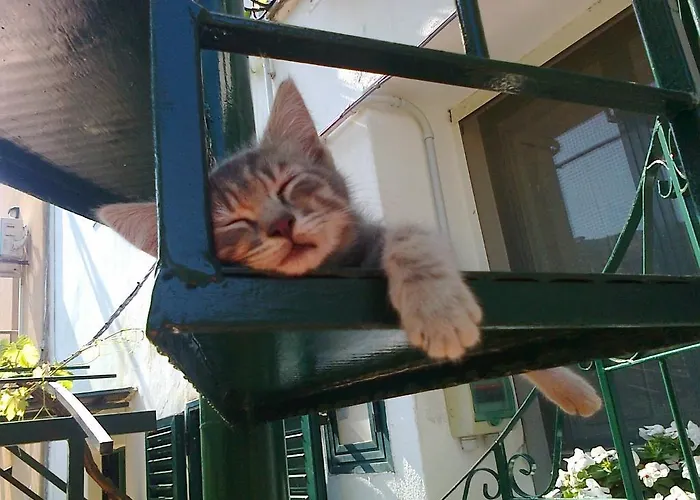 Готель типу 