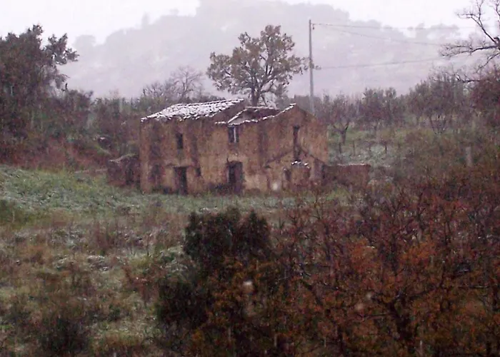 Готель типу 