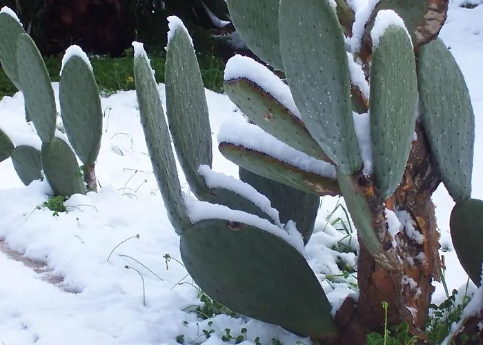 Arcobaleno 3* Чефалу