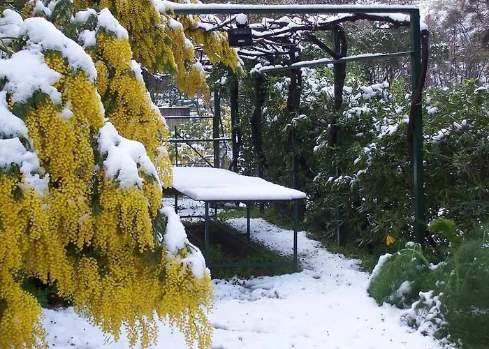 Arcobaleno Готель типу 