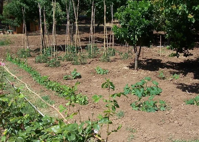 Готель типу 