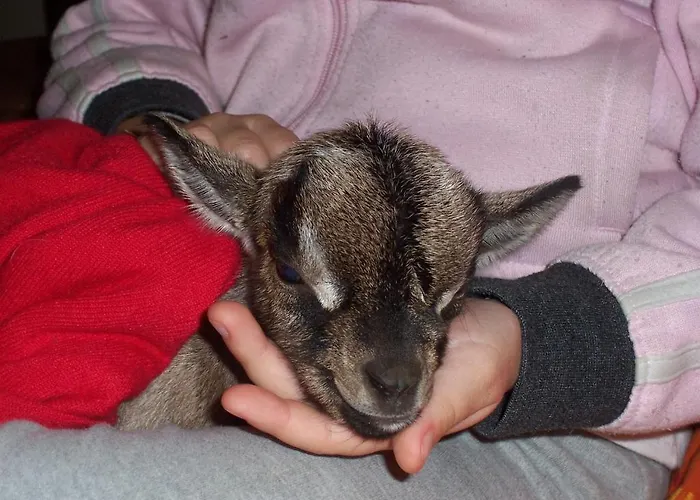 Arcobaleno Готель типу 