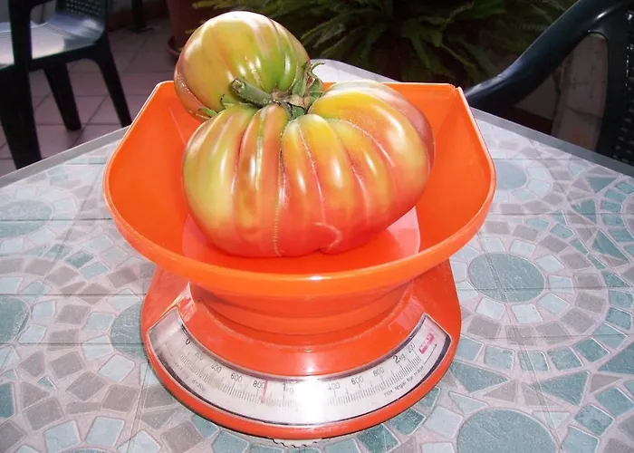 Готель типу 