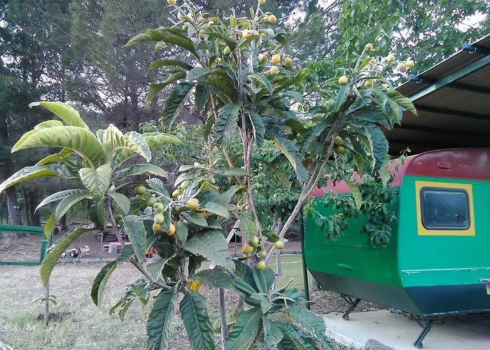 Arcobaleno Готель типу 