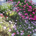 Arcobaleno Bed & Breakfast