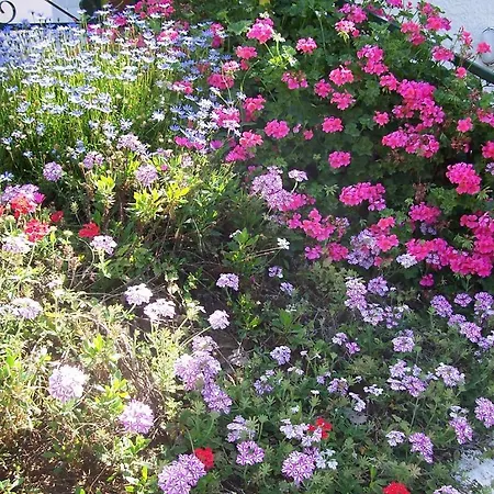 Arcobaleno Frühstückspension