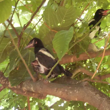 Frühstückspension Arcobaleno 3*