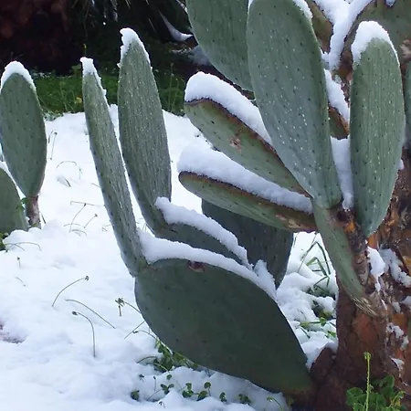 Arcobaleno 3* Cefalù