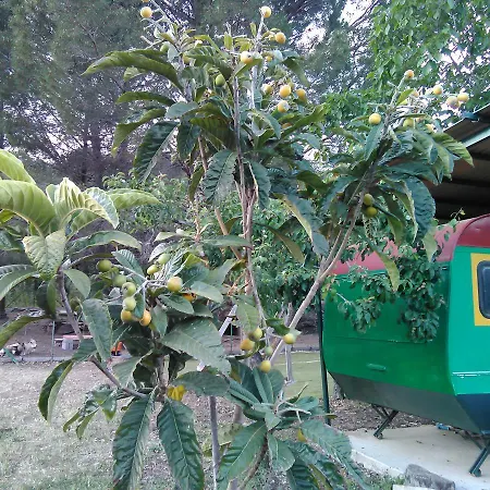 Arcobaleno Frühstückspension