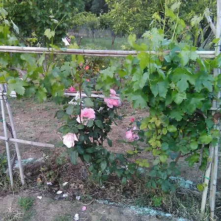 Arcobaleno Отель типа 