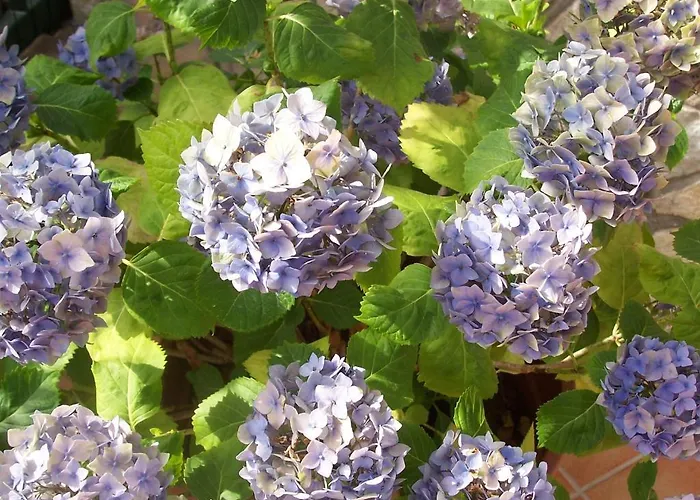 Arcobaleno 3* Чефалу