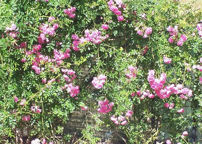 Arcobaleno Отель типа 