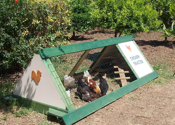 Arcobaleno Чефалу