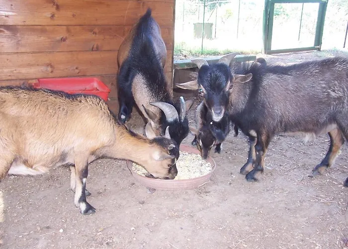 Arcobaleno Отель типа 