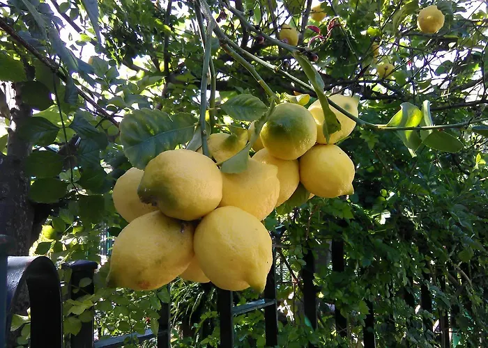 Arcobaleno Отель типа 