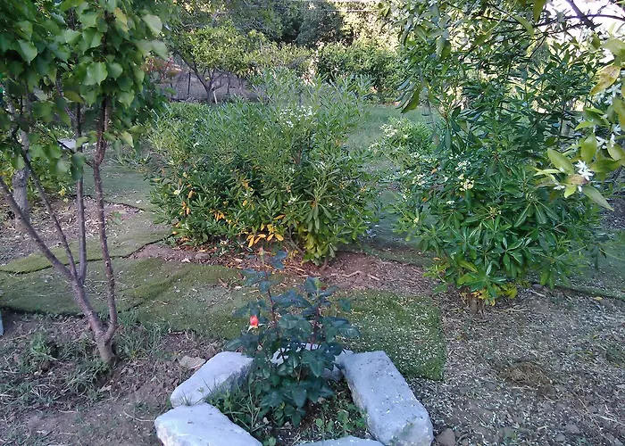 Arcobaleno Чефалу